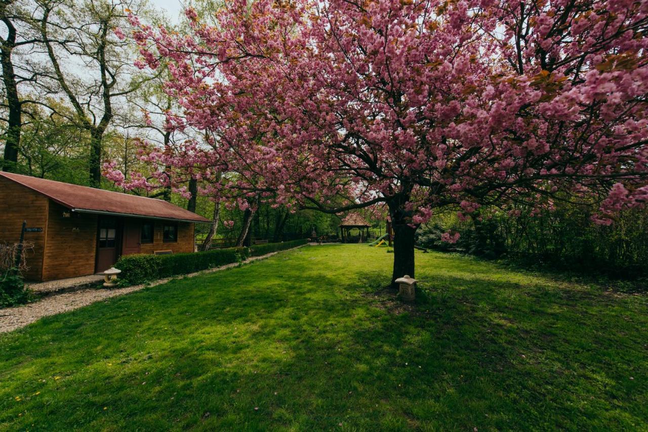 Shubu Zen Vendeghaz Hotel Szilvasvarad Luaran gambar