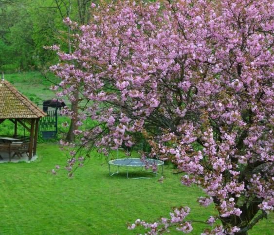 Shubu Zen Vendeghaz Hotel Szilvasvarad Luaran gambar
