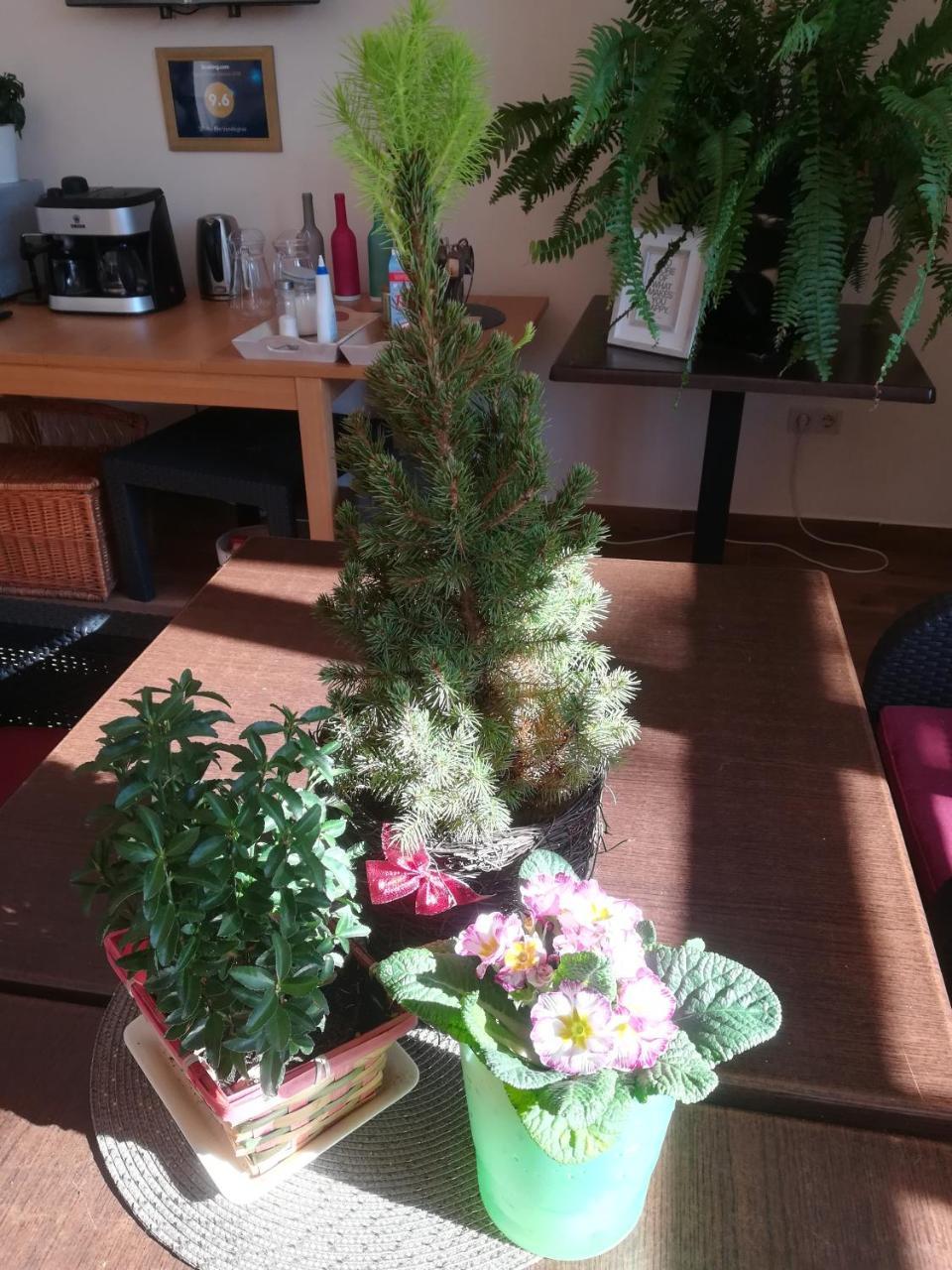 Shubu Zen Vendeghaz Hotel Szilvasvarad Luaran gambar